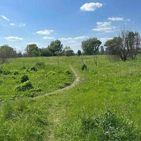 Apartament Wild Nest King Size Bed Bukareszt