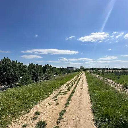 Wild Nest King Size Bed