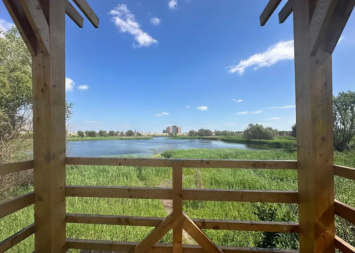 Apartament Wild Nest King Size Bed Bucureşti