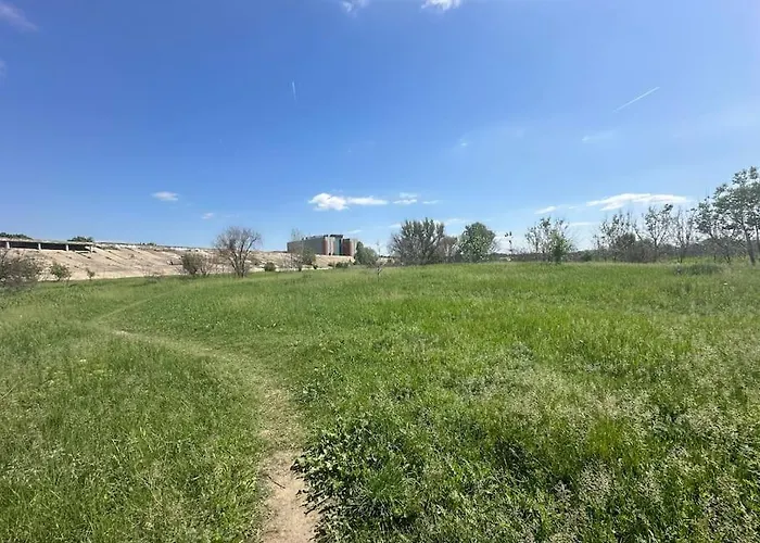 Wild Nest King Size Bed Bukarest