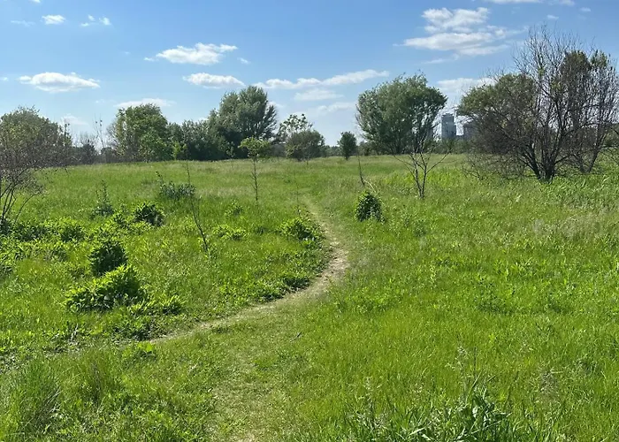 Apartamento Wild Nest King Size Bed Bucarest