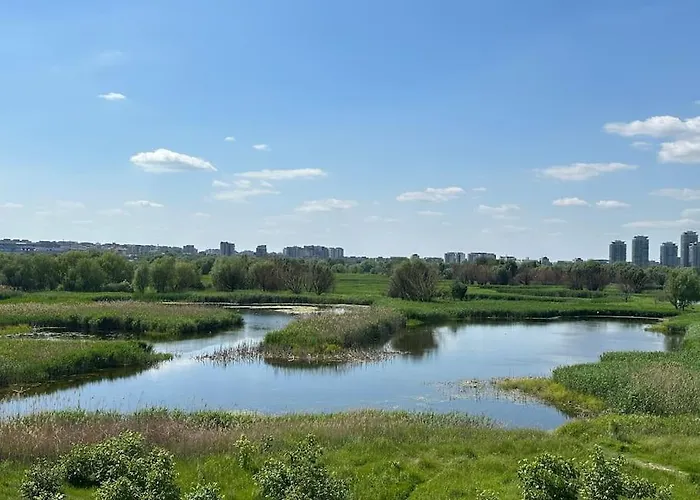 Wild Nest King Size Bed