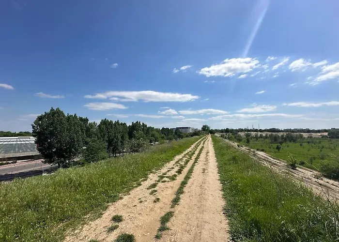 Wild Nest King Size Bed