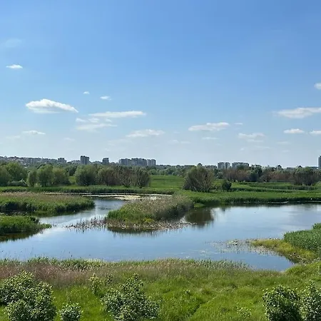 Wild Nest King Size Bed