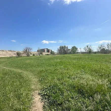 Wild Nest King Size Bed Бухарест